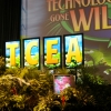 TCEA